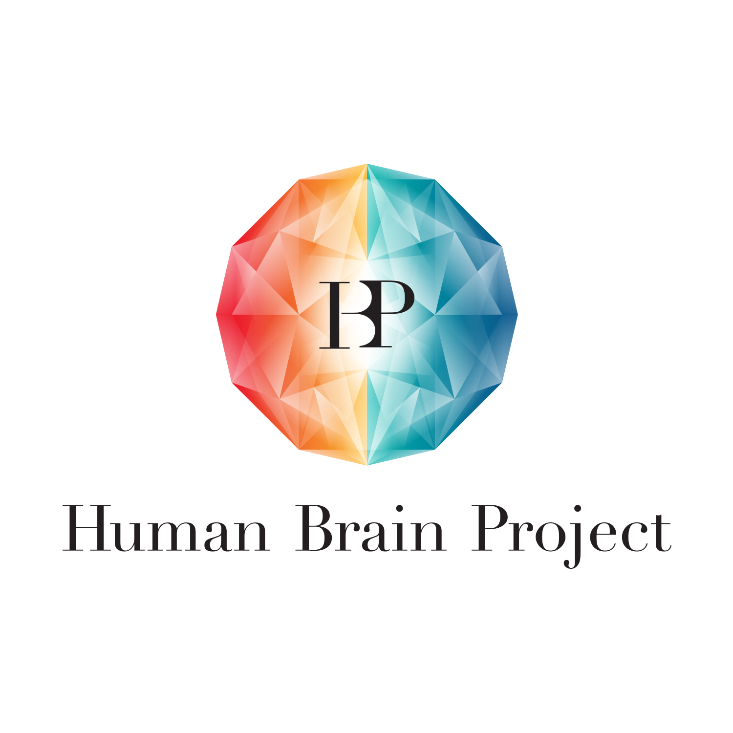 Brain project. Human Brain Project логотип. Проект «Human Brain Project» описание. Игра Brain Project. The Human Brain Project Ethics.