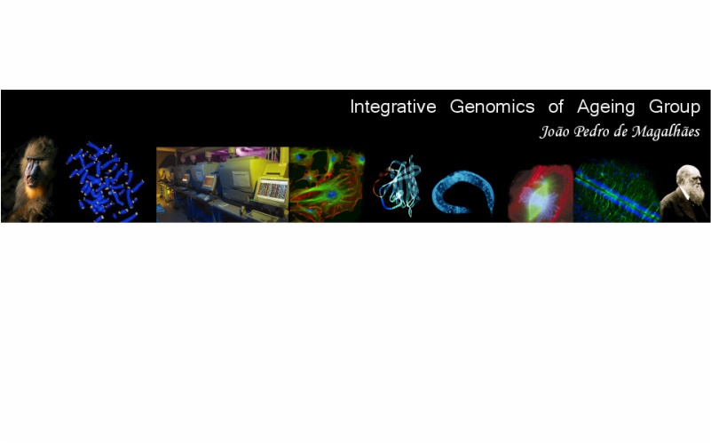 Integrative Genomics of Aging Group
