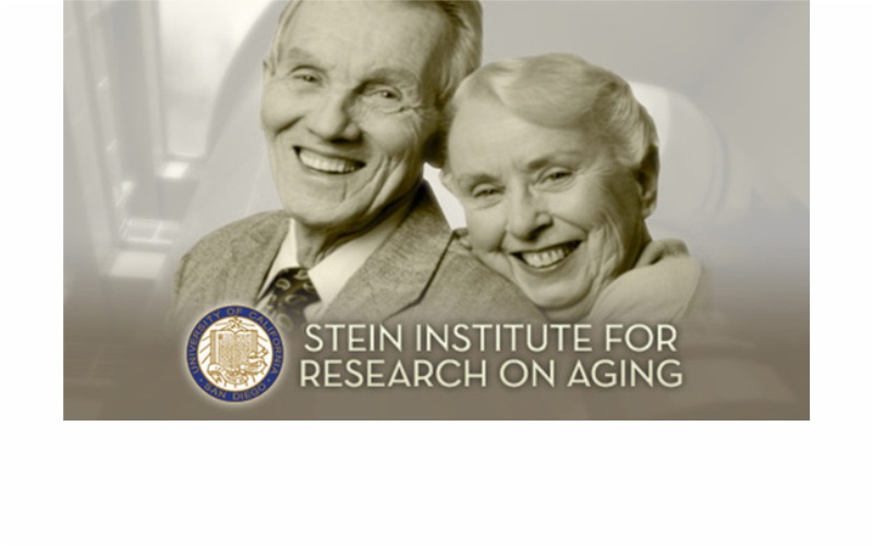 Stein Institute for Research on Aging