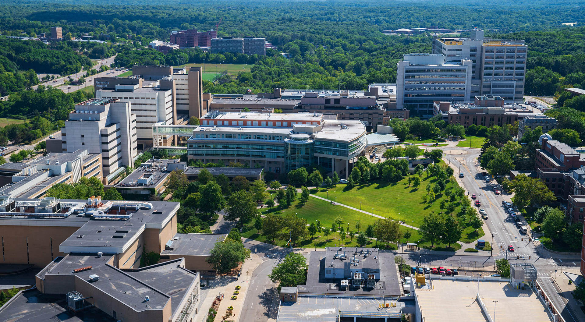 Белок Сестрин - Michigan Medicine - University of Michigan